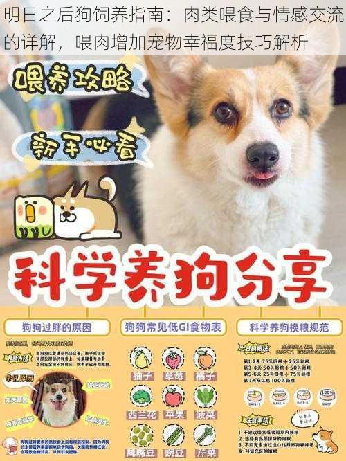 明日之后狗饲养指南:肉类喂食与情感交流的详解,喂肉增加宠物幸福度技巧解析