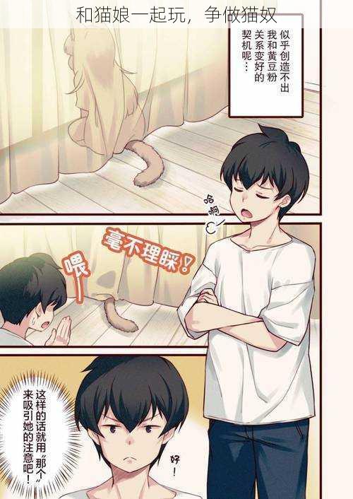和猫娘一起玩,争做猫奴