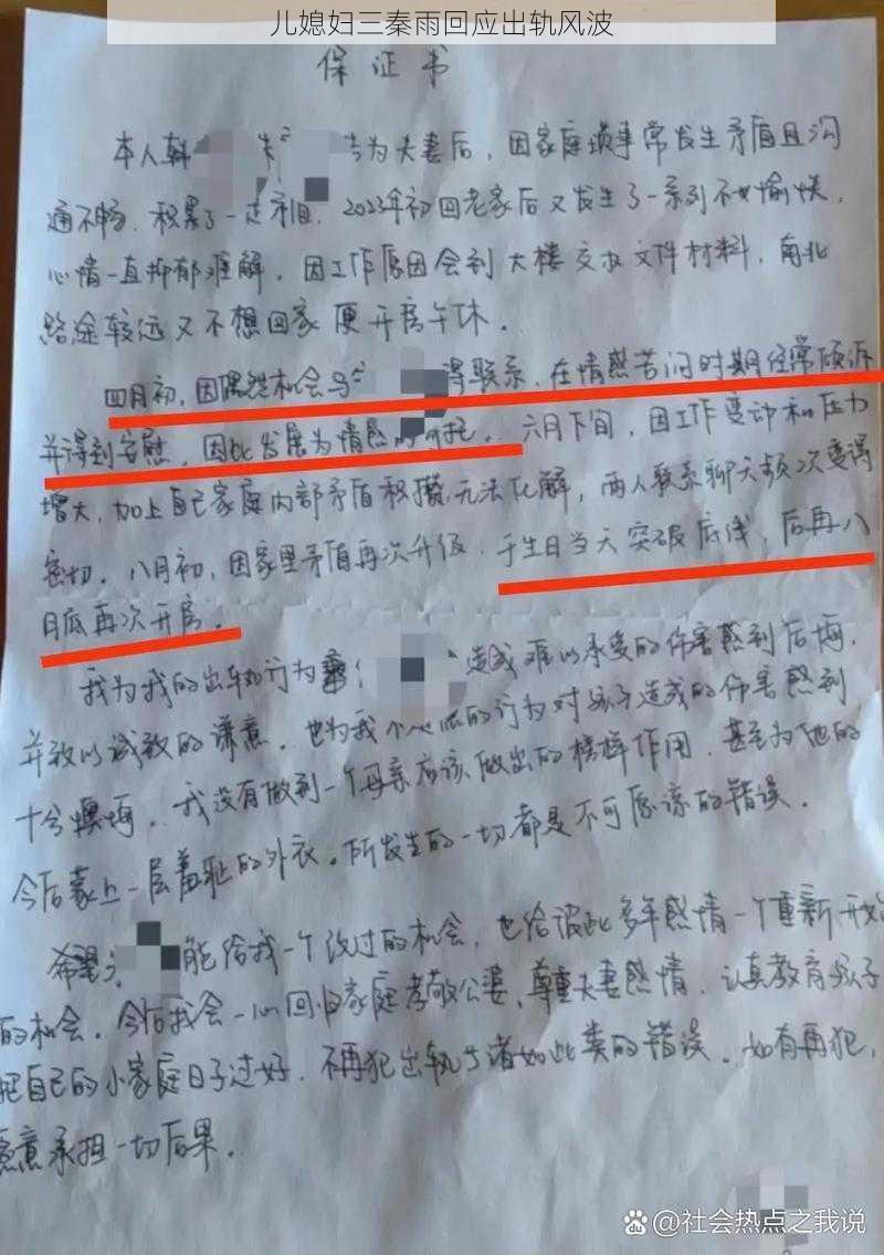 儿媳妇三秦雨回应出轨风波