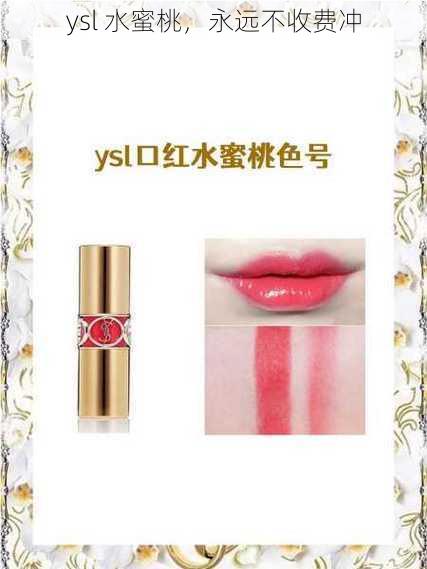 ysl 水蜜桃,永远不收费冲