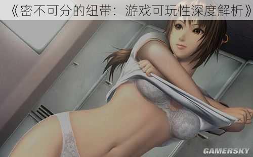 《密不可分的纽带:游戏可玩性深度解析》