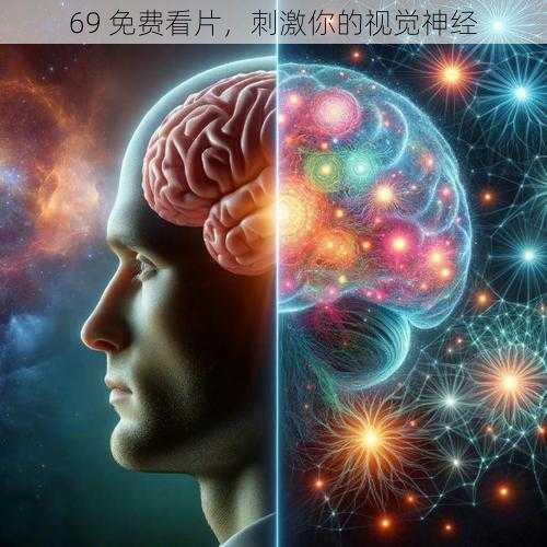 69 免费看片,刺激你的视觉神经