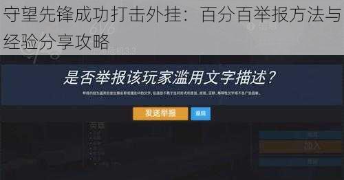 守望先锋成功打击外挂:百分百举报方法与经验分享攻略