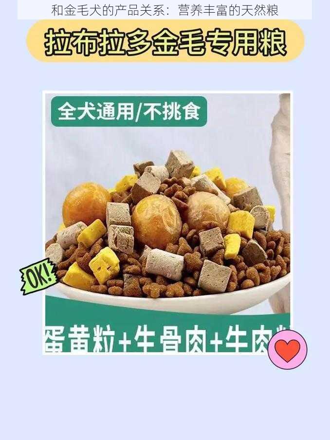 和金毛犬的产品关系:营养丰富的天然粮