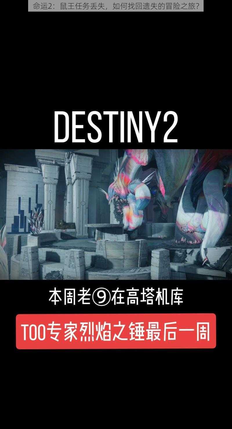 命运2:鼠王任务丢失,如何找回遗失的冒险之旅?