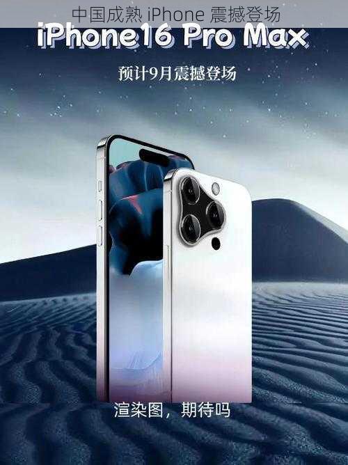 中国成熟 iPhone 震撼登场