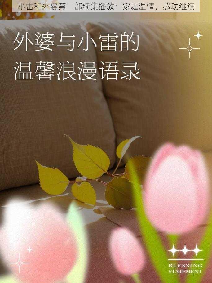 小雷和外婆第二部续集播放:家庭温情,感动继续