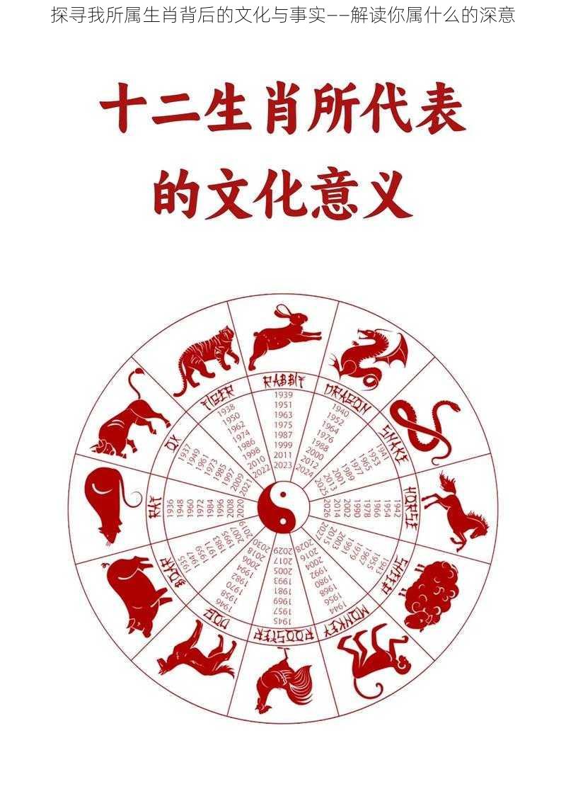 探寻我所属生肖背后的文化与事实——解读你属什么的深意