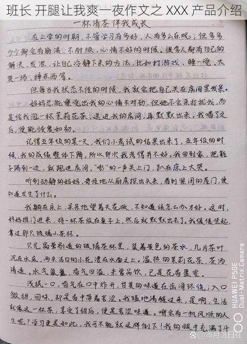 班长 开腿让我爽一夜作文之 XXX 产品介绍