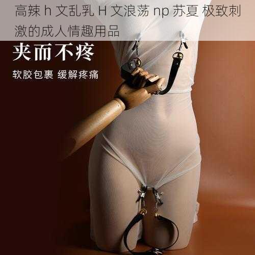高辣 h 文乱乳 H 文浪荡 np 苏夏 极致刺激的成人情趣用品