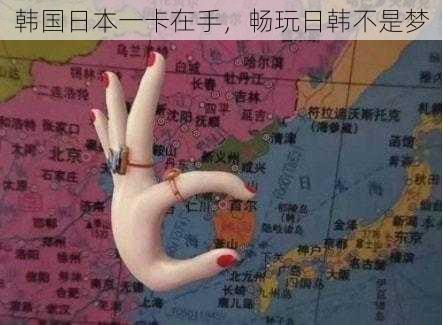 韩国日本一卡在手,畅玩日韩不是梦
