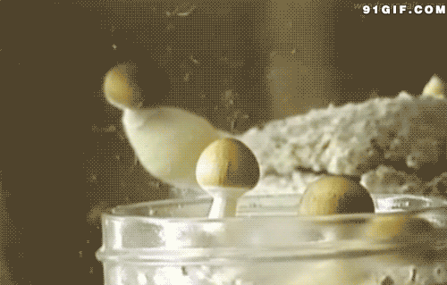 蘑菇网站 18 在线播放 gif 带来无限欢乐时光