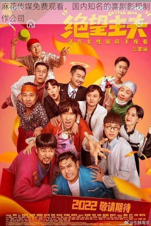 麻花传媒免费观看,国内知名的喜剧影视制作公司