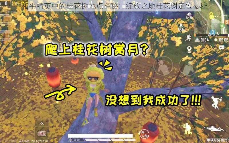 和平精英中的桂花树地点探秘:绽放之地桂花树定位揭秘