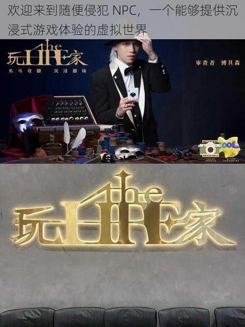 欢迎来到随便侵犯 NPC,一个能够提供沉浸式游戏体验的虚拟世界