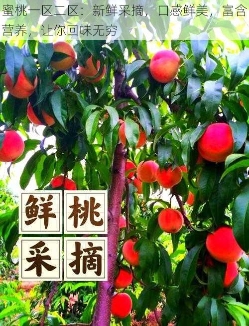 蜜桃一区二区:新鲜采摘,口感鲜美,富含营养,让你回味无穷