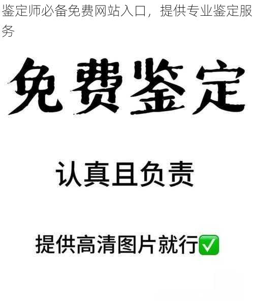 鉴定师必备免费网站入口,提供专业鉴定服务
