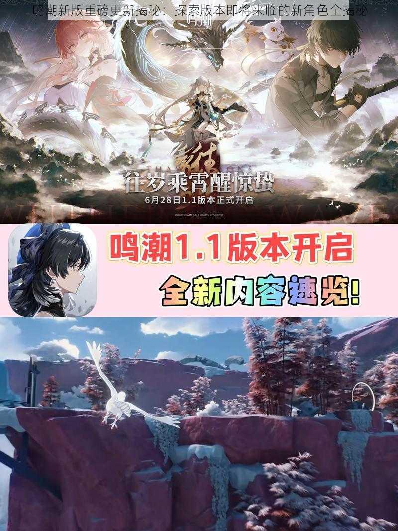鸣潮新版重磅更新揭秘:探索版本即将来临的新角色全揭秘