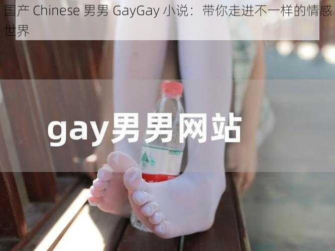 国产 Chinese 男男 GayGay 小说:带你走进不一样的情感世界