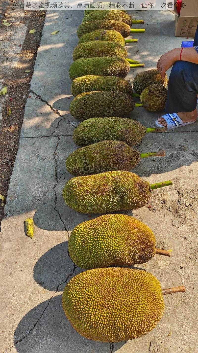 免费菠萝蜜视频欧美,高清画质,精彩不断,让你一次看个够