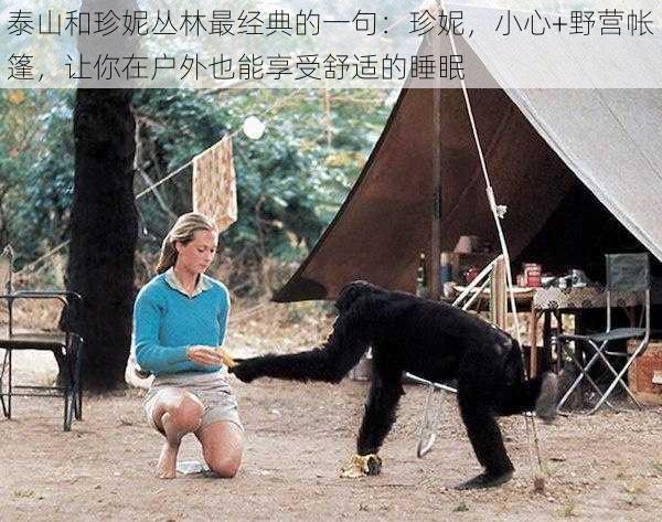 泰山和珍妮丛林最经典的一句:珍妮,小心+野营帐篷,让你在户外也能享受舒适的睡眠