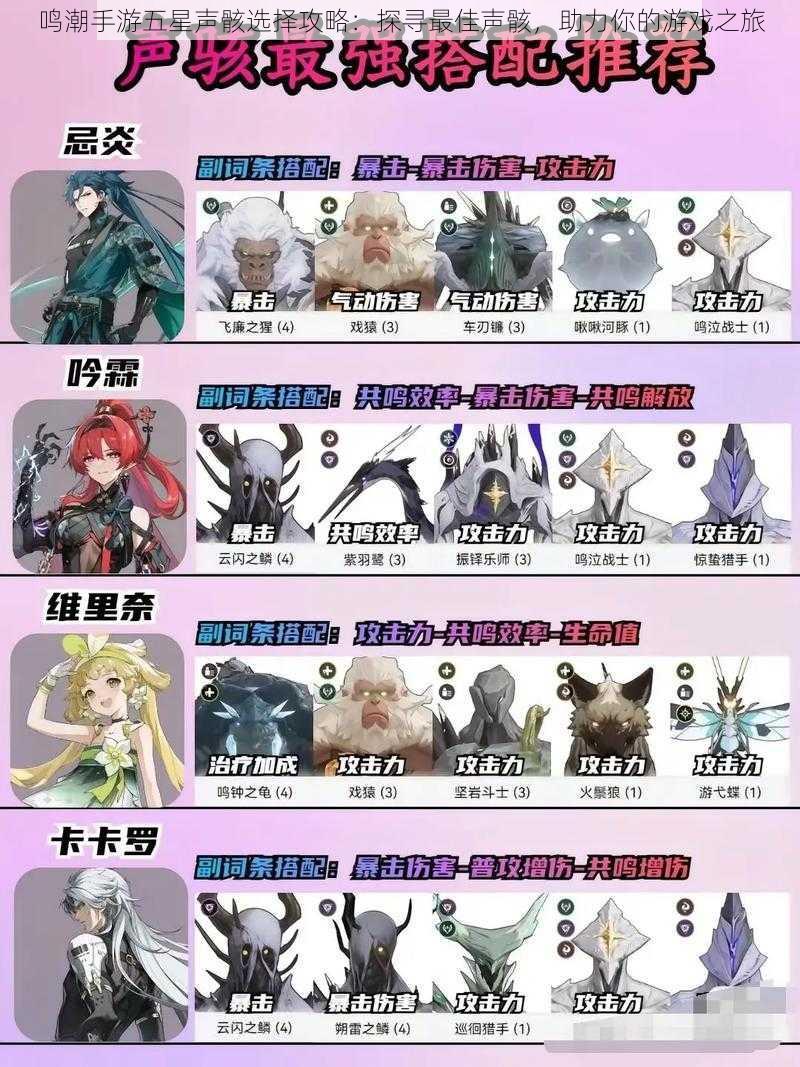 鸣潮手游五星声骸选择攻略:探寻最佳声骸,助力你的游戏之旅