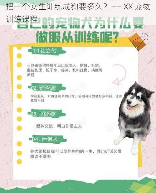 把一个女生训练成狗要多久?—— XX 宠物训练课程