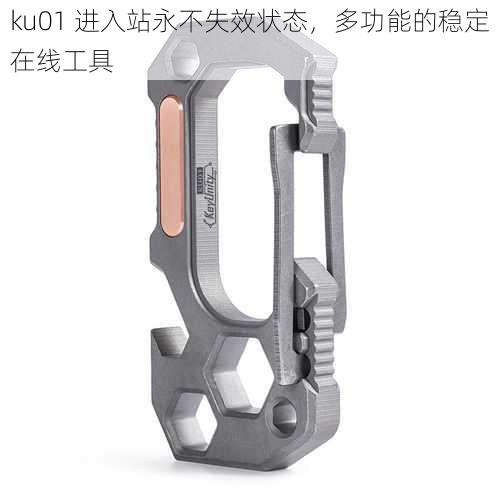 ku01 进入站永不失效状态,多功能的稳定在线工具
