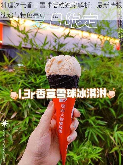 料理次元香草雪球活动独家解析:最新情报速递与特色亮点一览