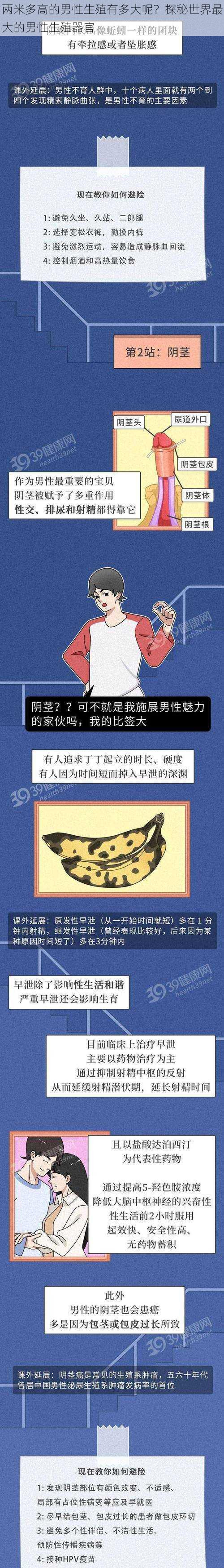 两米多高的男性生殖有多大呢?探秘世界最大的男性生殖器官