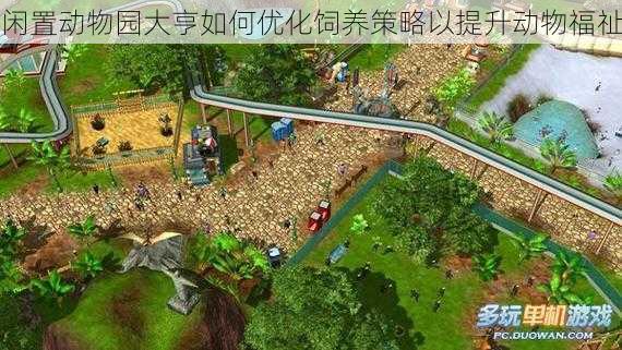 闲置动物园大亨如何优化饲养策略以提升动物福祉