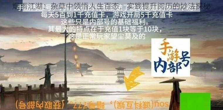 烟雨江湖:杂草中领悟人生百态,实践提升阅历的妙法探秘
