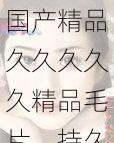 国产精品久久久久久精品毛片,持久耐用,给你不一样的体验