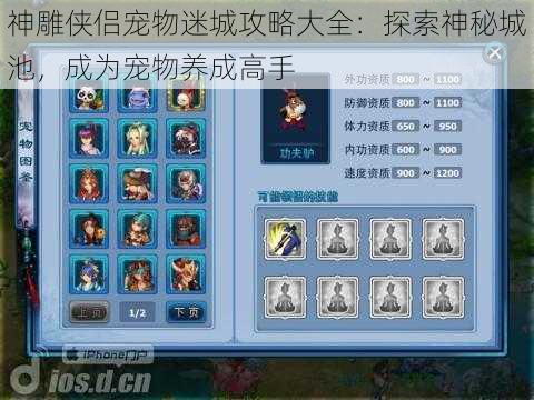 神雕侠侣宠物迷城攻略大全:探索神秘城池,成为宠物养成高手