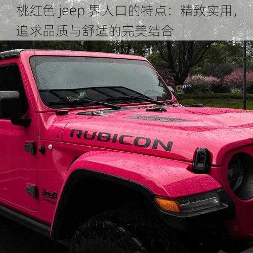 桃红色 jeep 界人口的特点:精致实用,追求品质与舒适的完美结合