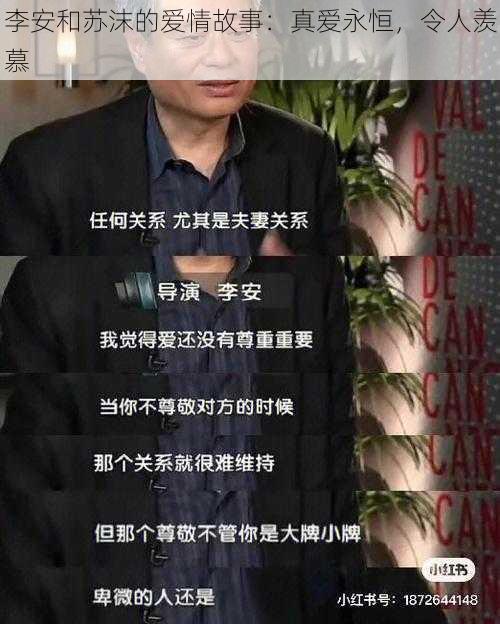李安和苏沫的爱情故事:真爱永恒,令人羡慕