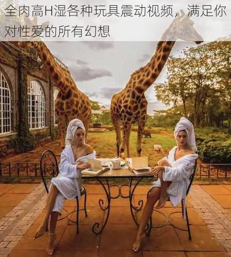 全肉高H湿各种玩具震动视频,满足你对性爱的所有幻想