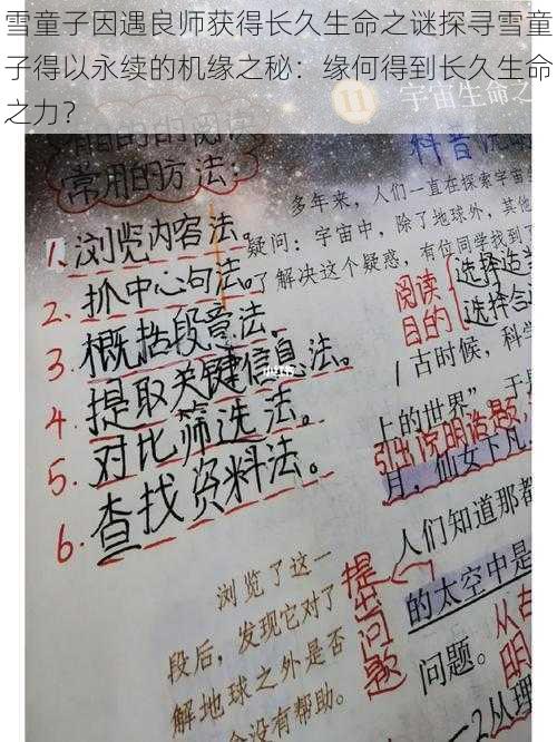 雪童子因遇良师获得长久生命之谜探寻雪童子得以永续的机缘之秘:缘何得到长久生命之力?