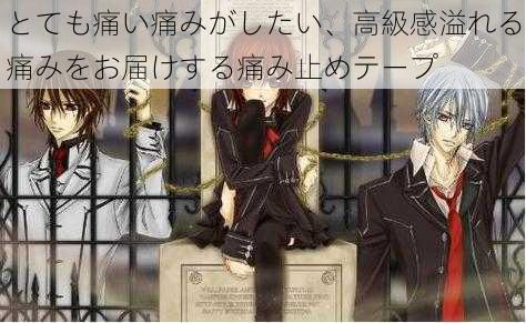 とても痛い痛みがしたい、高級感溢れる痛みをお届けする痛み止めテープ