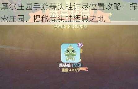 摩尔庄园手游蒜头蛙详尽位置攻略:探索庄园,揭秘蒜头蛙栖息之地