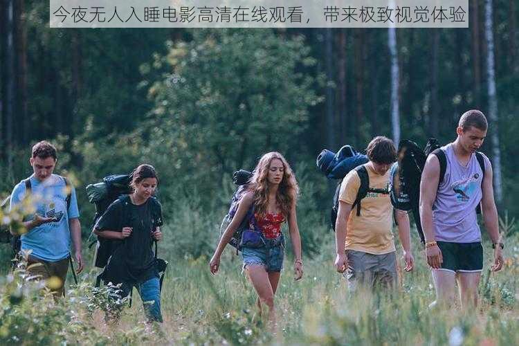 今夜无人入睡电影高清在线观看,带来极致视觉体验