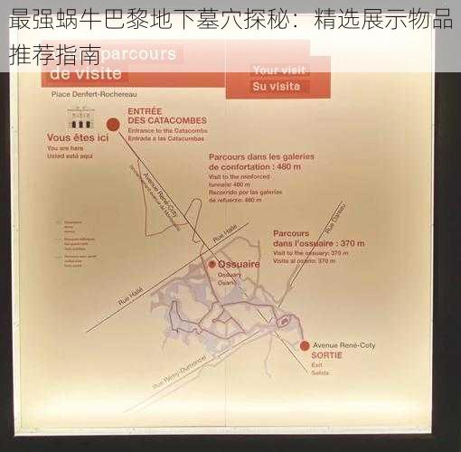 最强蜗牛巴黎地下墓穴探秘:精选展示物品推荐指南