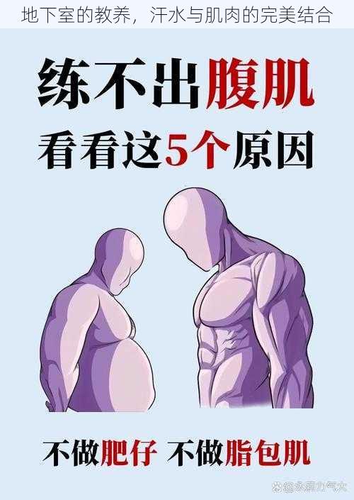 地下室的教养,汗水与肌肉的完美结合