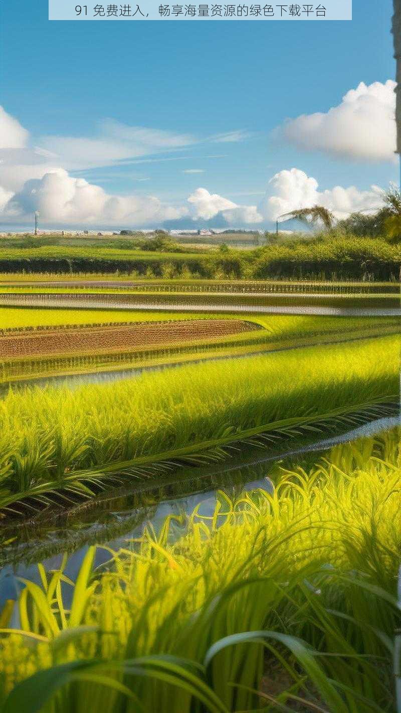 91 免费进入,畅享海量资源的绿色下载平台