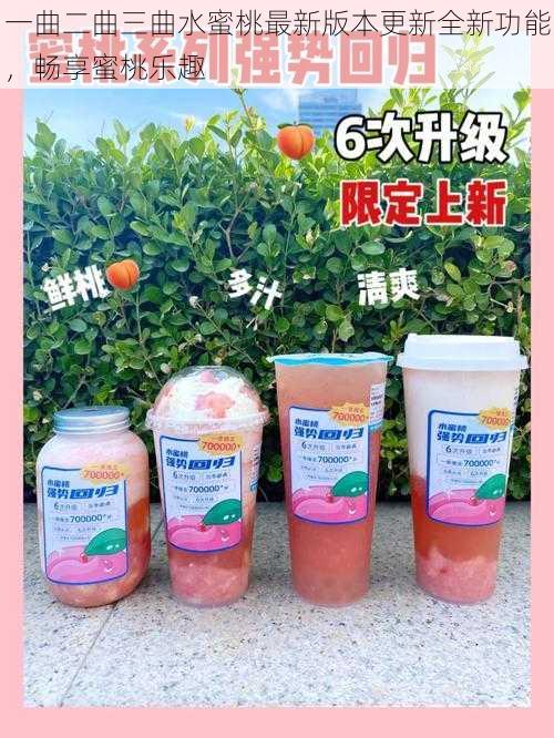 一曲二曲三曲水蜜桃最新版本更新全新功能,畅享蜜桃乐趣