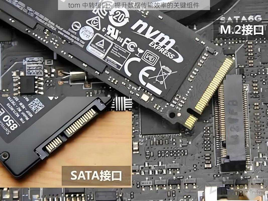 tom 中转接口:提升数据传输效率的关键组件