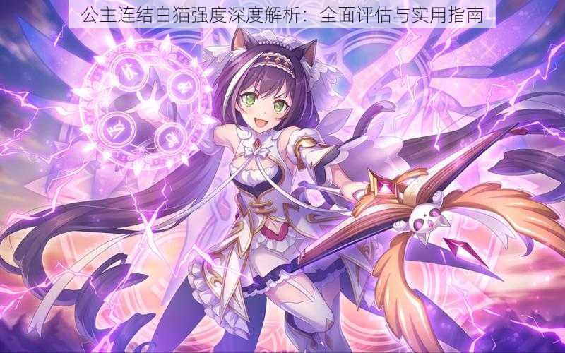 公主连结白猫强度深度解析:全面评估与实用指南