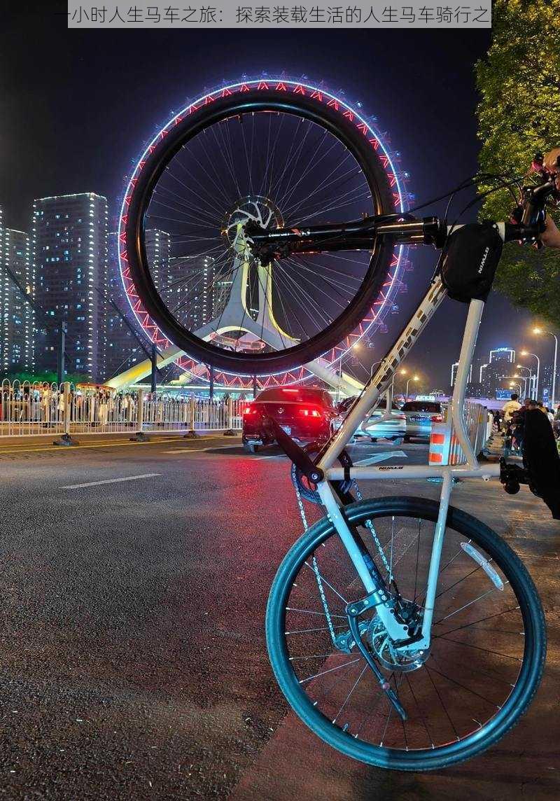 一小时人生马车之旅:探索装载生活的人生马车骑行之道