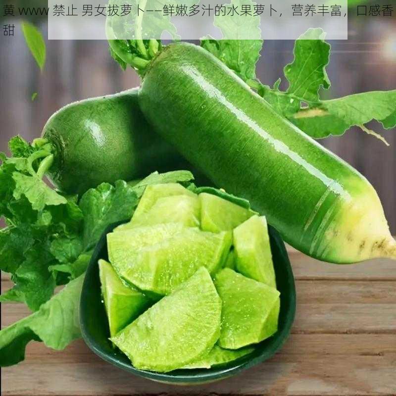 黄 www 禁止 男女拔萝卜——鲜嫩多汁的水果萝卜,营养丰富,口感香甜