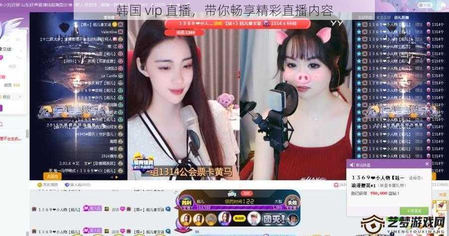 韩国 vip 直播,带你畅享精彩直播内容